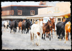 Silk Scarf with Running Horses