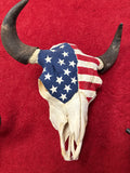 Buffalo Skulls