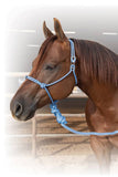 Easy On Rope Halter with Lead