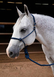 Easy On Rope Halter with Lead
