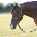 Easy On Rope Halter with Lead