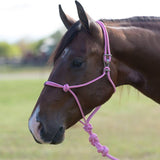 Easy On Rope Halter with Lead