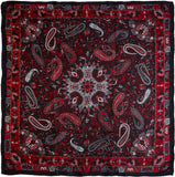 Wyoming Traders Paisley Silk Scarf