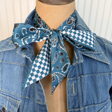 Twilly - Luck Be A Paisley by Fringe Scarves