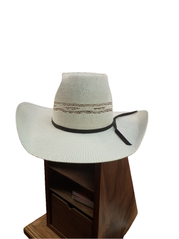 Youth Twister Cowboy Hat