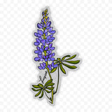 Lupine Wildflower Sticker 6"