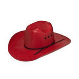 Ariat Youth Colored Straw Hat